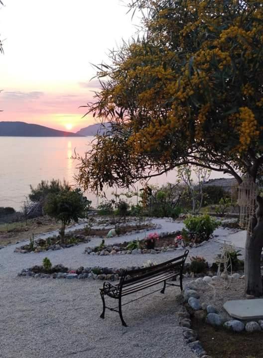 Sylvia'S Houses Σκαλιά Εξωτερικό φωτογραφία